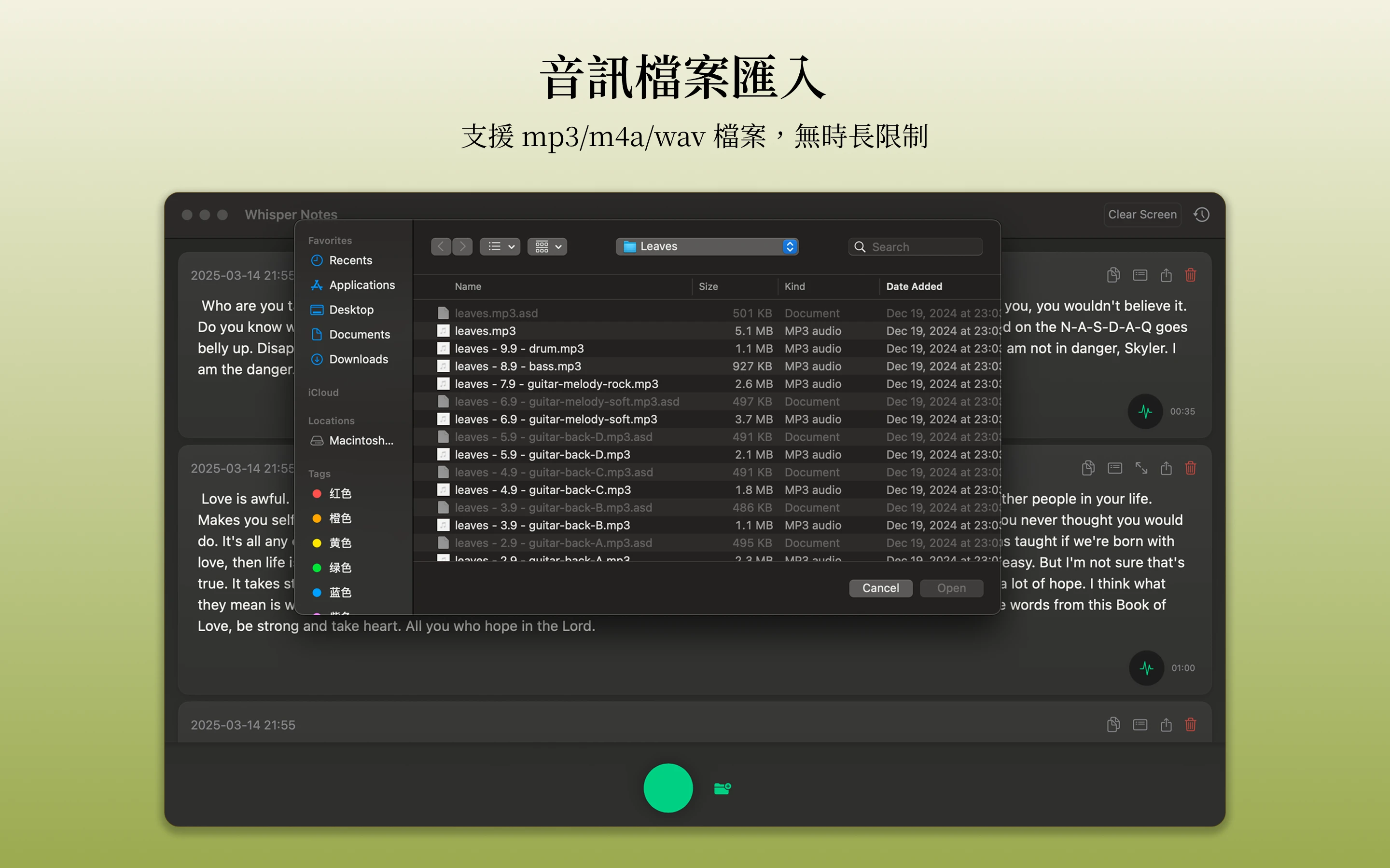 音訊匯入與時間戳記匯出功能